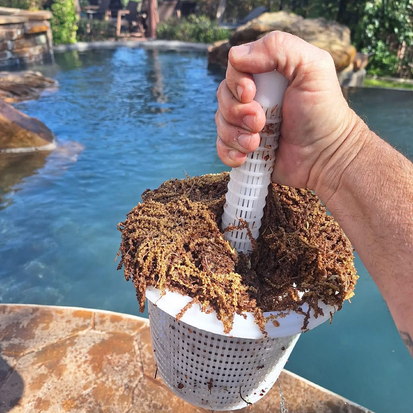 Clean swimming pool — Westlake Hills 78746, Pool Police weekly service